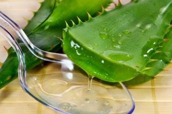 Aloe-Saft für starke Erektionen